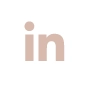 linkedin icon